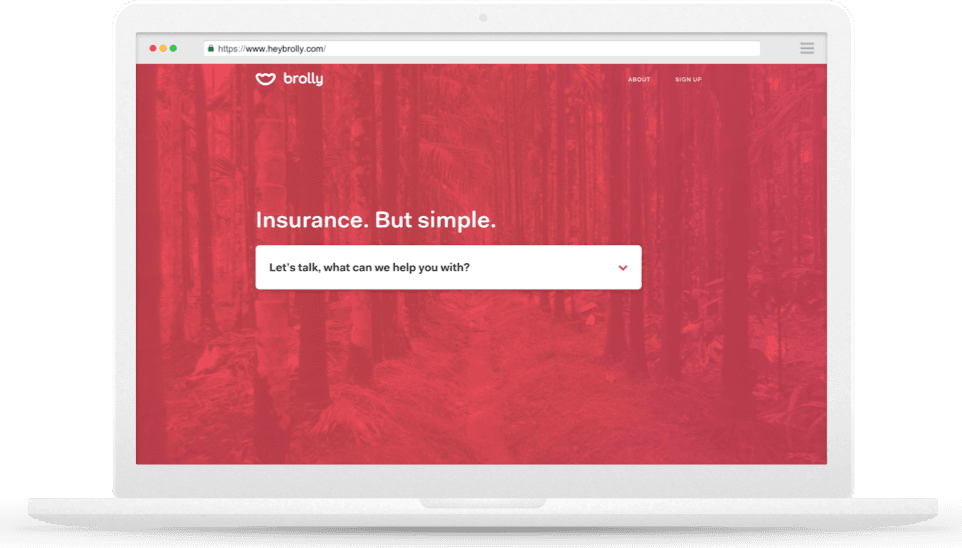 Brolly website screenshot